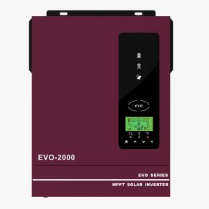 AN-SCI-EVO-2000